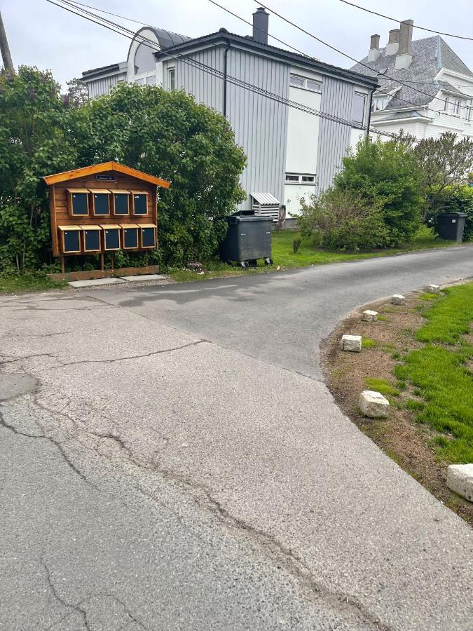 With1 Bedroom Separate Living With A Sofa Bed And A Tiny Kitchen A Bathroom Located In Nordstrand Near By The Sea For 3 Guests With A Garden And Grill 5 Extra Guests With Extra Cost In The With Sea View Just Outside The Apar Appartement
