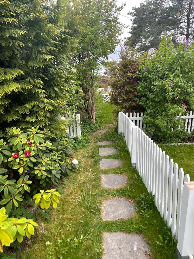 With1 Bedroom Separate Living With A Sofa Bed And A Tiny Kitchen A Bathroom Located In Nordstrand Near By The Sea For 3 Guests With A Garden And Grill 5 Extra Guests With Extra Cost In The With Sea View Just Outside The Apar Appartement